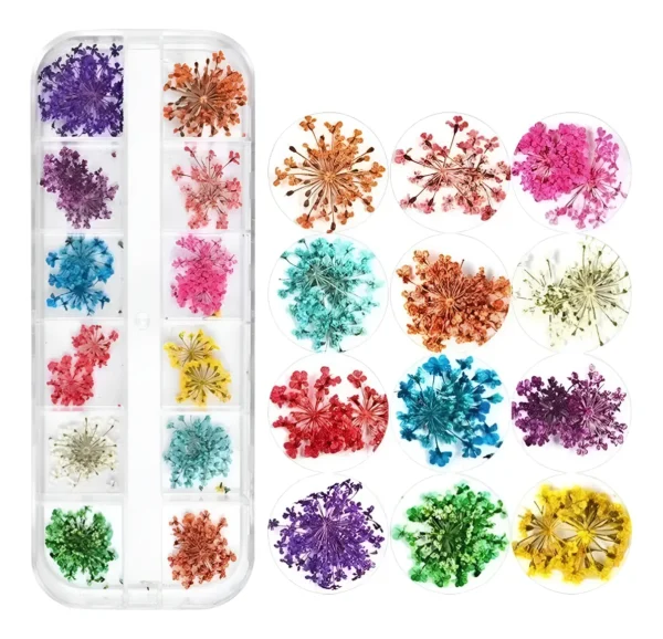 Flor Desidratada Para Decoração- Encapsulamento